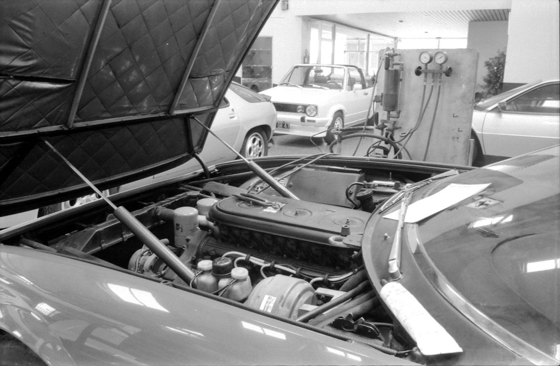 daytonapozzi9.jpg